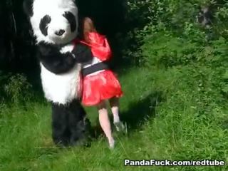 Rojo cabalgando capó follada por panda