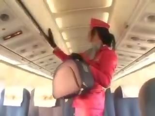 Inviting stewardess sucking manhood before cunnilingus