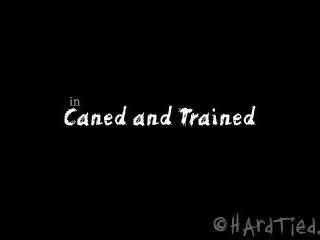 Caned dhe trained