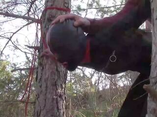 Tied up to a Tree Outdoors in enchanting Clothes and Fucked Hard